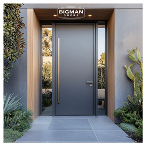 Modern Minimalist Dark Grey Security Pivot Door