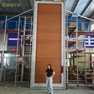 Custom Size 85 Series Offset Pivot Aluminum Door