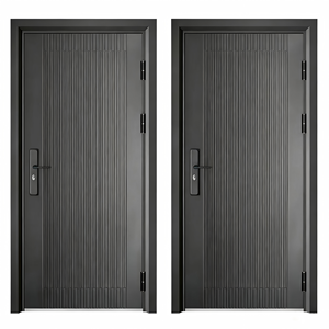Modern Security Door High Strength