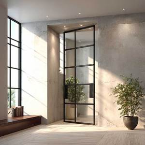 Sunnysky American Style Contemporary Aluminum Exterior Main Pivot Door