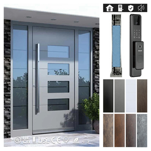 British Detached House Modern High Strength Matte Gray Finish Stainless Steel Tempered Glass Security Door with Double Sidelite