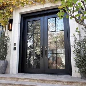 Luxury Main Entrance Security Frosted Double Glass Door