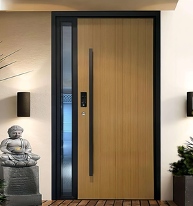 Luxury Villa Apartment Entry Anti-theft Electric Side Opening Door